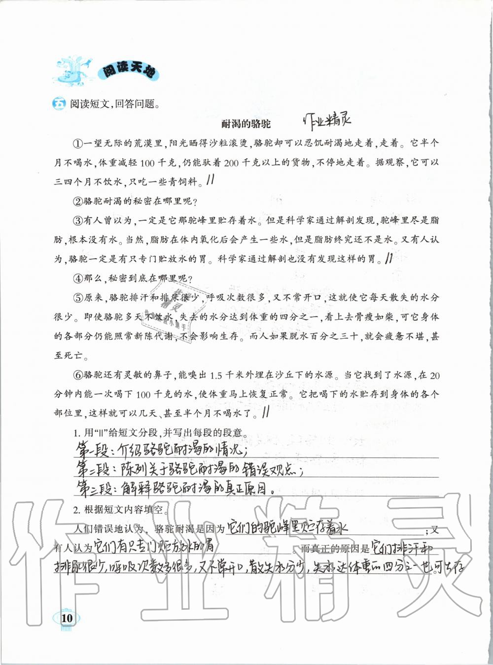 2020年快乐寒假六年级南方出版社 第8页