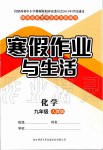 2020年寒假作業(yè)與生活九年級化學(xué)人教版陜西師范大學(xué)出版總社