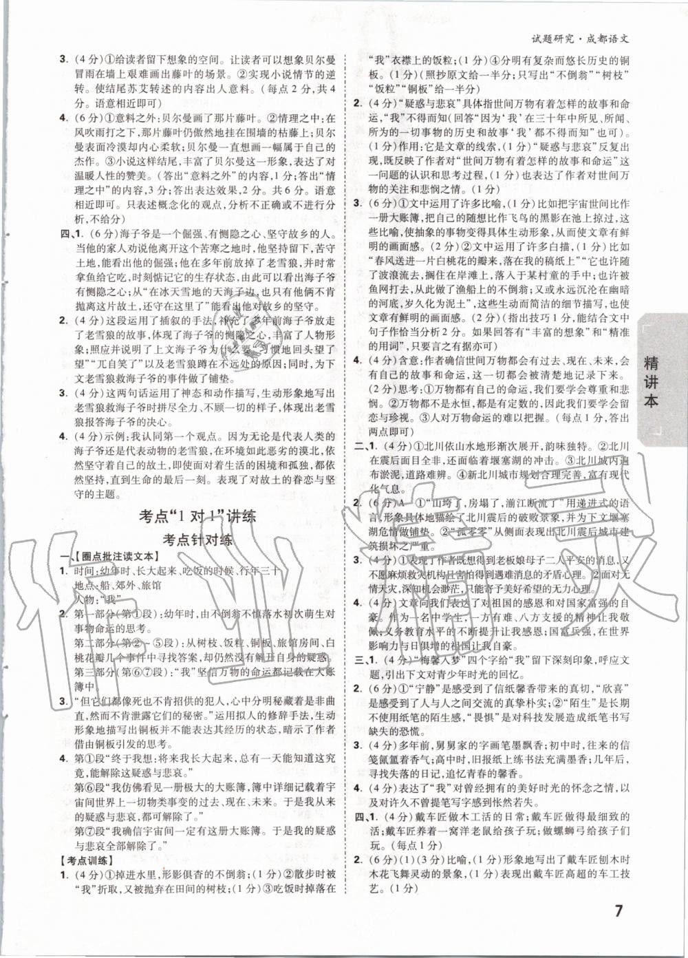 2020年万唯中考试题研究语文成都专版 第6页