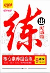 2020年練出好成績(jī)核心素養(yǎng)組合練九年級(jí)語(yǔ)文下冊(cè)人教版河南專版