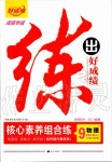 2020年練出好成績核心素養(yǎng)組合練九年級物理下冊人教版河南專版