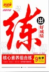 2020年練出好成績(jī)核心素養(yǎng)組合練九年級(jí)化學(xué)下冊(cè)人教版河南專(zhuān)版