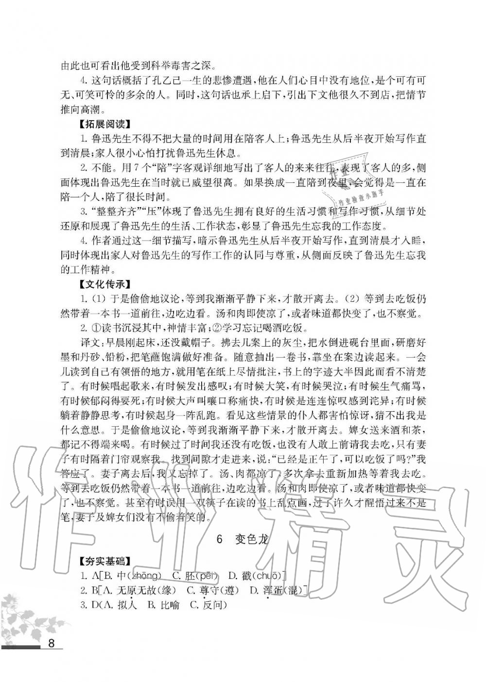 2020年语文补充习题九年级下册人教版江苏凤凰教育出版社 第8页