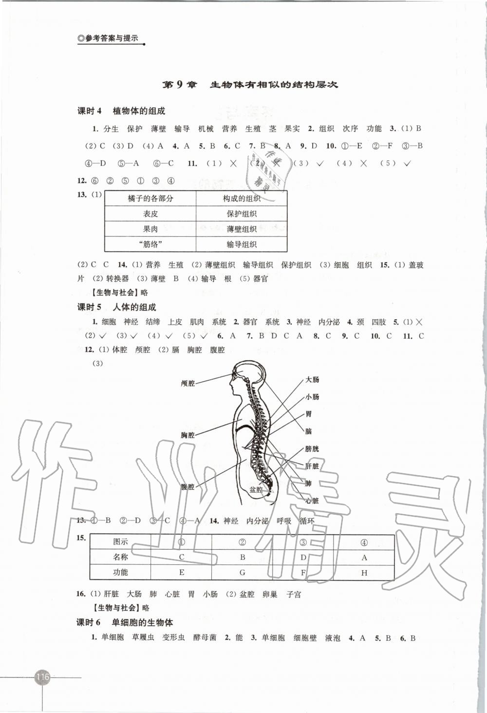 2020年课课练初中生物学七年级下册苏科版 第2页