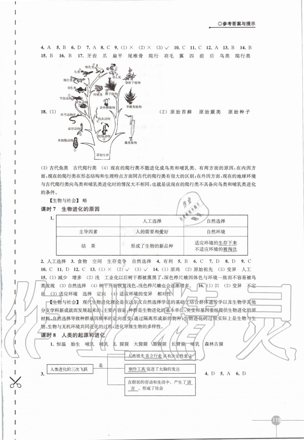 2020年课课练初中生物学八年级下册苏科版 第3页