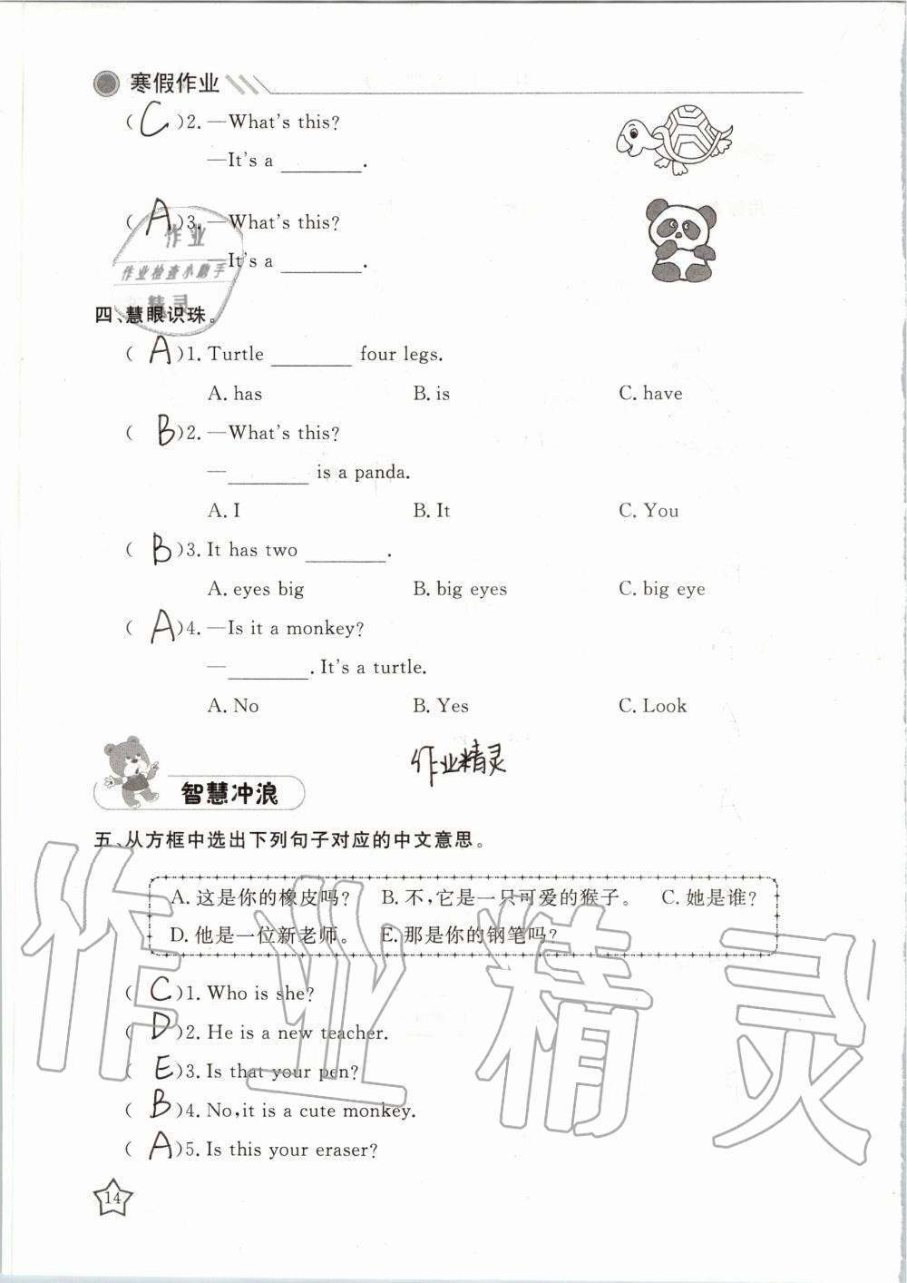 2020年湘岳假期寒假作業(yè)三年級(jí)英語(yǔ) 第14頁(yè)