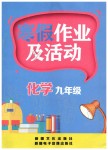 2020年寒假作業及活動九年級化學人教版