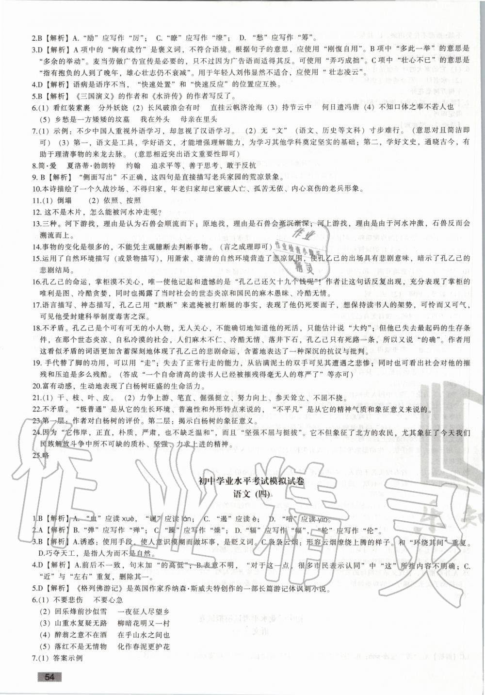 2020年青海省初中學業水平考試模擬試卷語文 第3頁