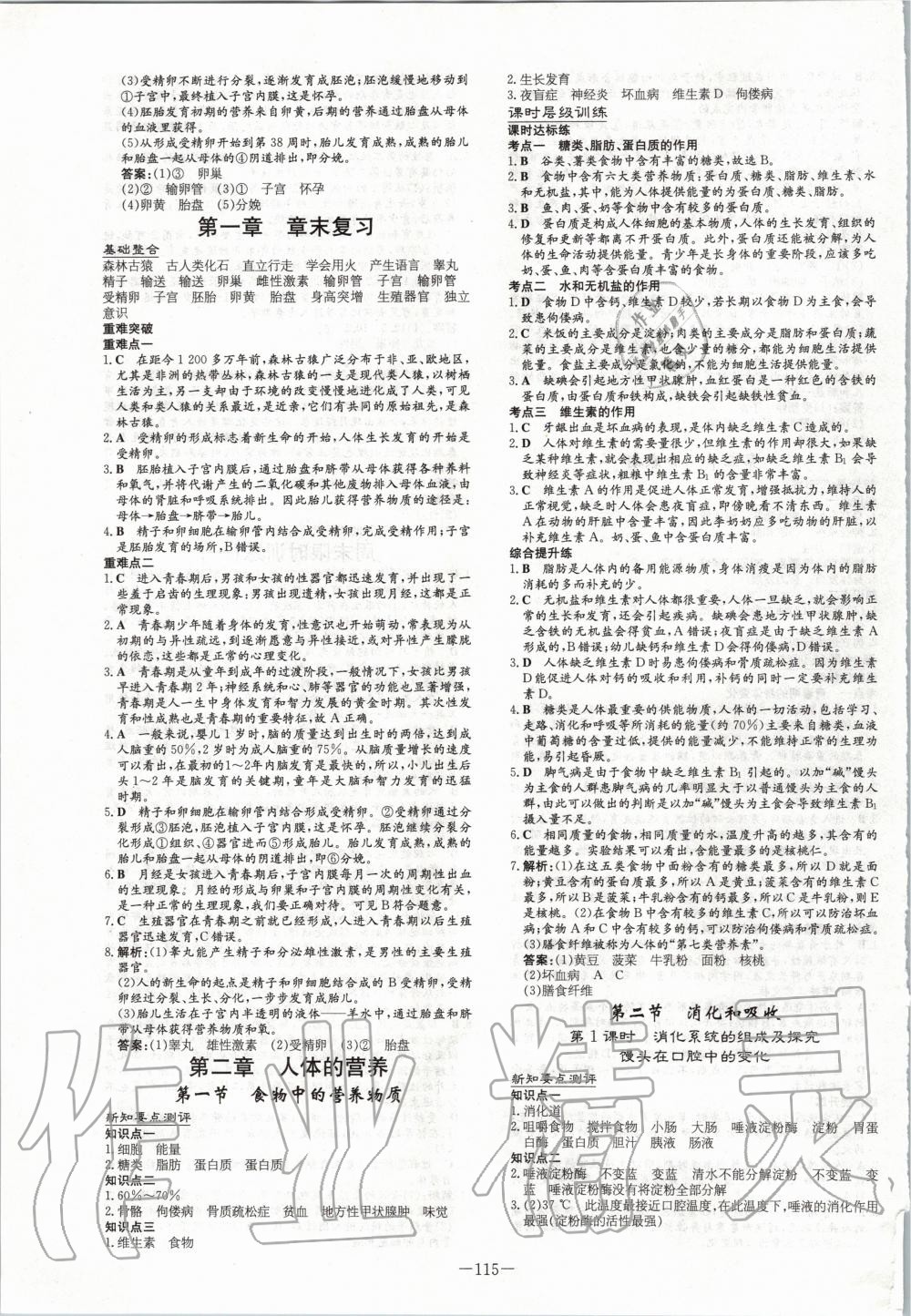 2020年練案課時作業(yè)本七年級生物下冊人教版 第3頁