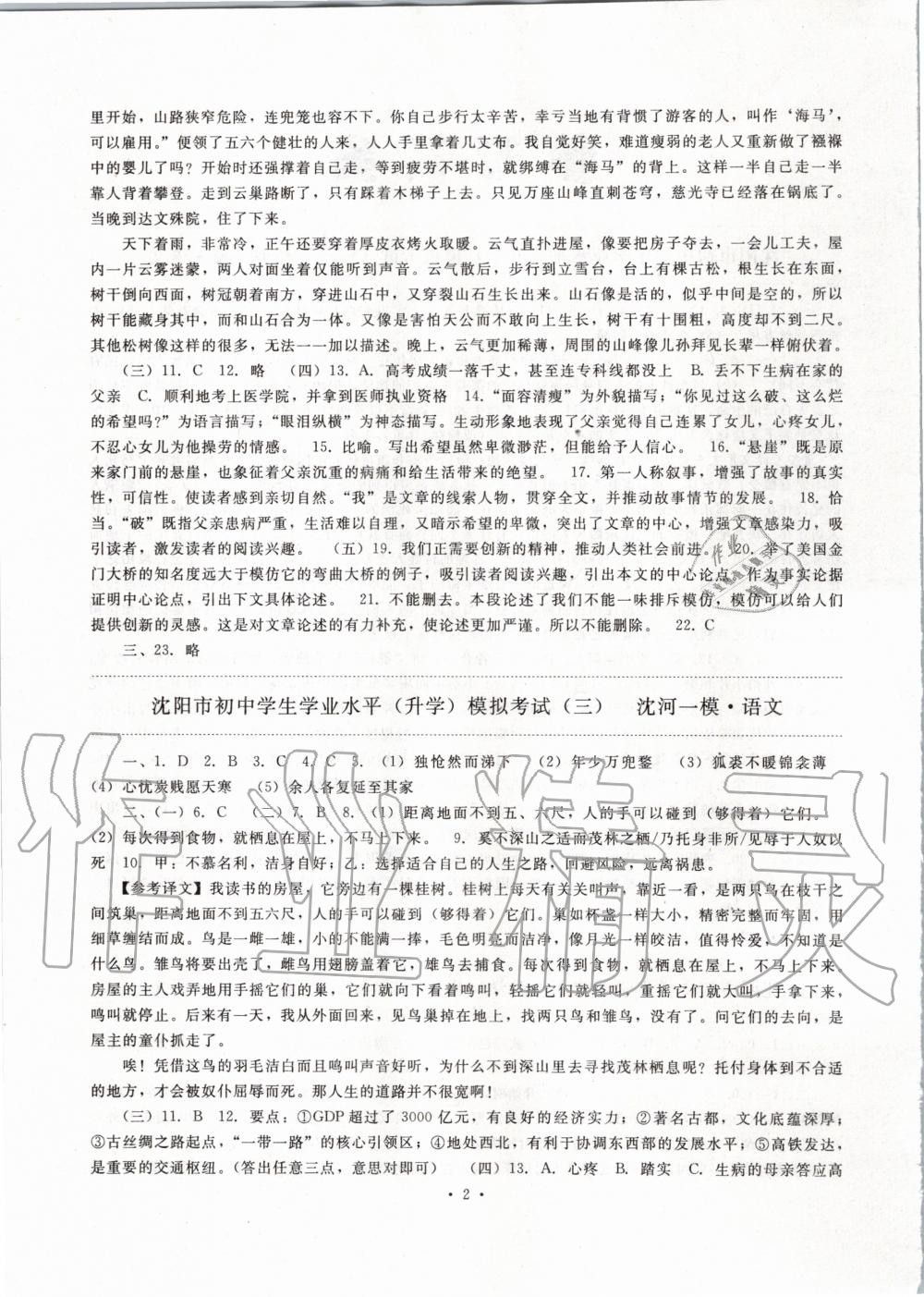 2020年絕對(duì)真題語(yǔ)文沈陽(yáng)專(zhuān)用 第2頁(yè)