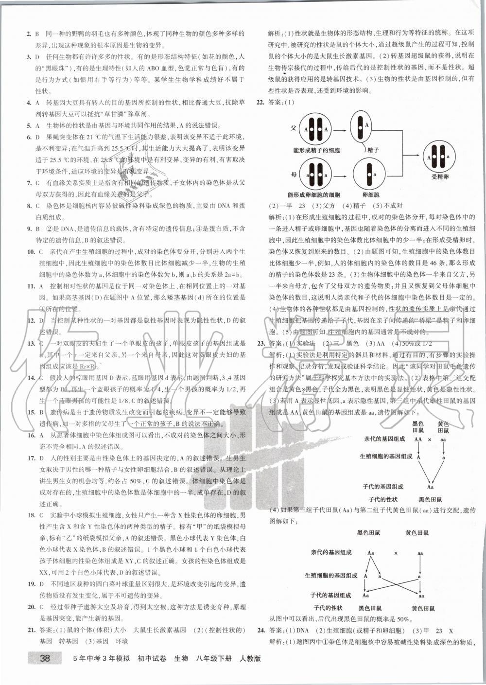 2020年5年中考3年模擬初中試卷八年級生物下冊人教版 第3頁