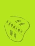 2020年小學(xué)基礎(chǔ)訓(xùn)練二年級(jí)道德與法治下冊(cè)人教版五四制山東教育出版社