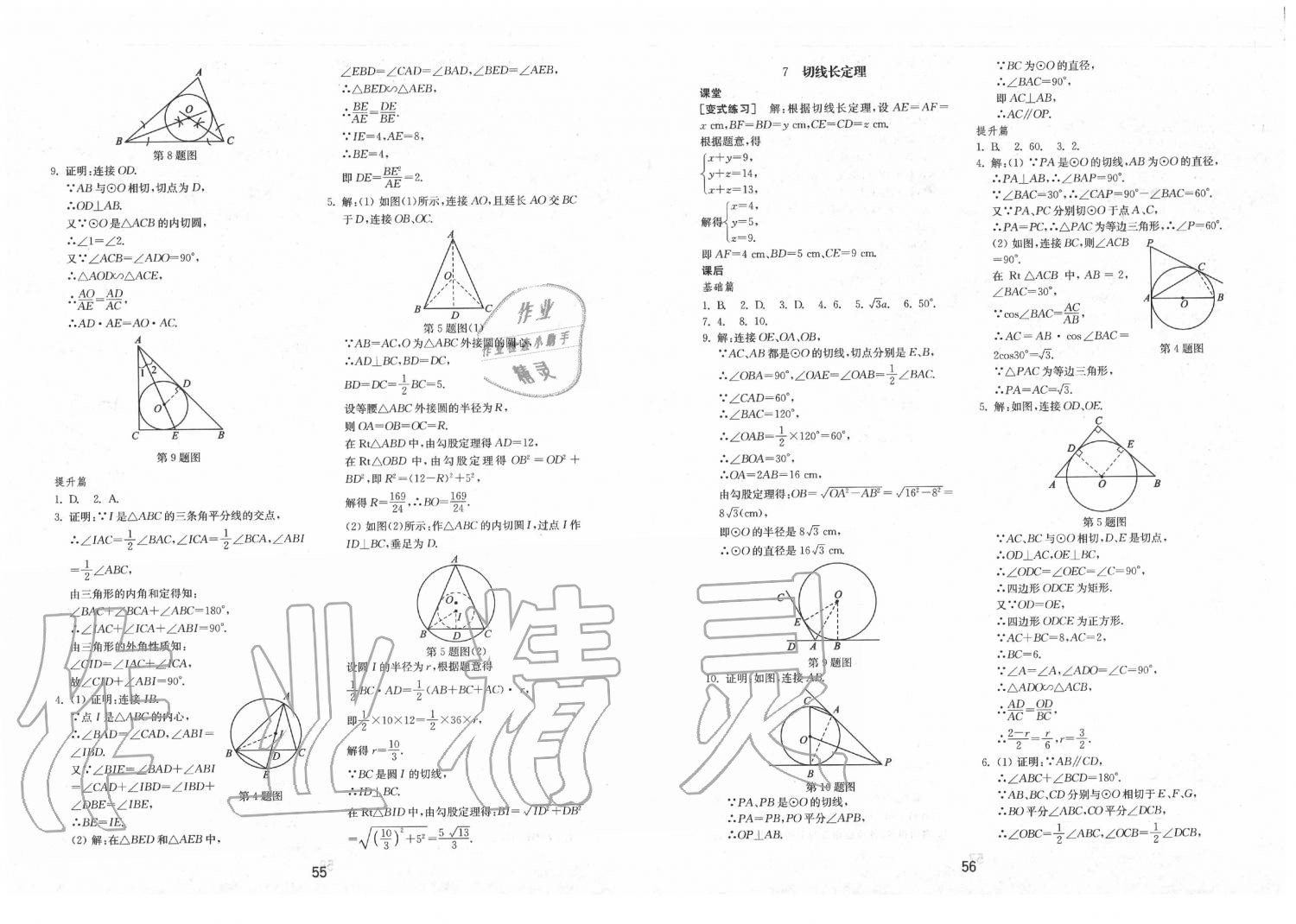 2020年初中基礎(chǔ)訓(xùn)練九年級(jí)數(shù)學(xué)下冊(cè)魯教版五四制山東教育出版社 第8頁(yè)