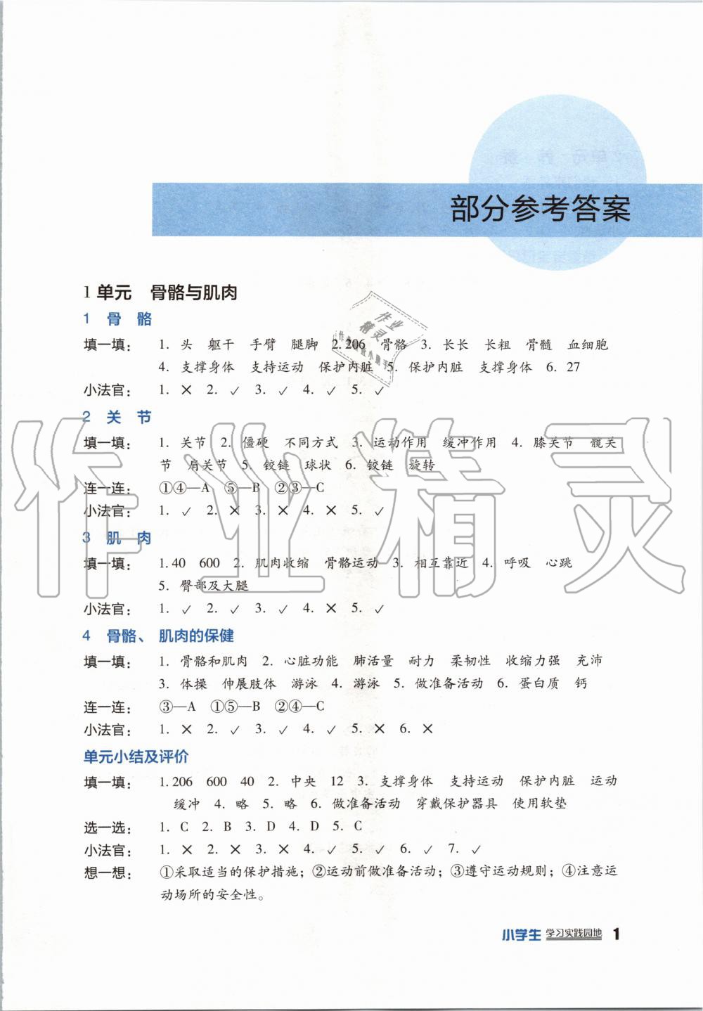 2020年學(xué)習(xí)實(shí)踐園地四年級(jí)科學(xué)下冊(cè)蘇教版 第1頁(yè)