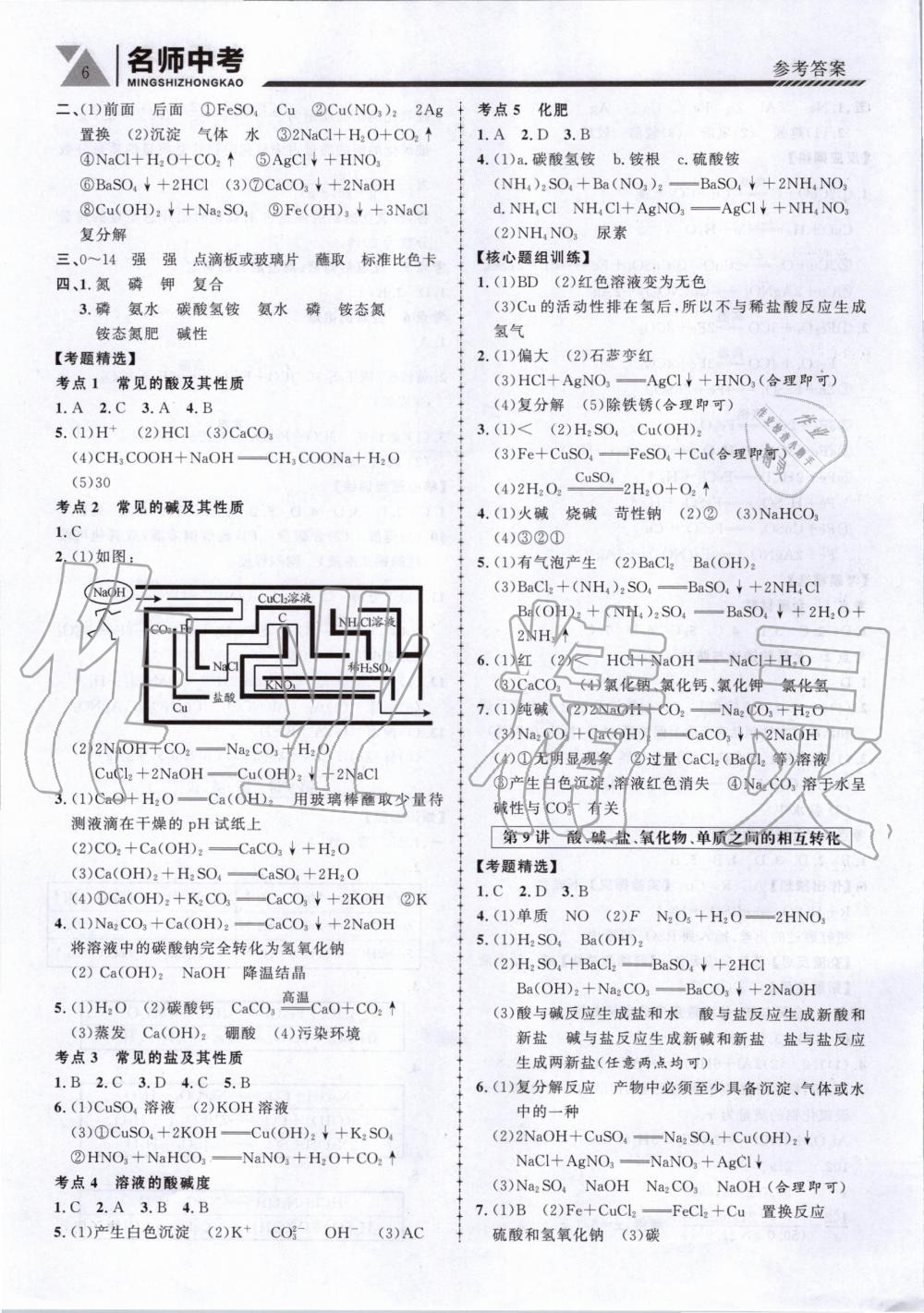 2020年名師中考廣東專用化學(xué) 第6頁(yè)