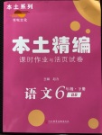 2020年本土精編六年級(jí)語文下冊(cè)人教版