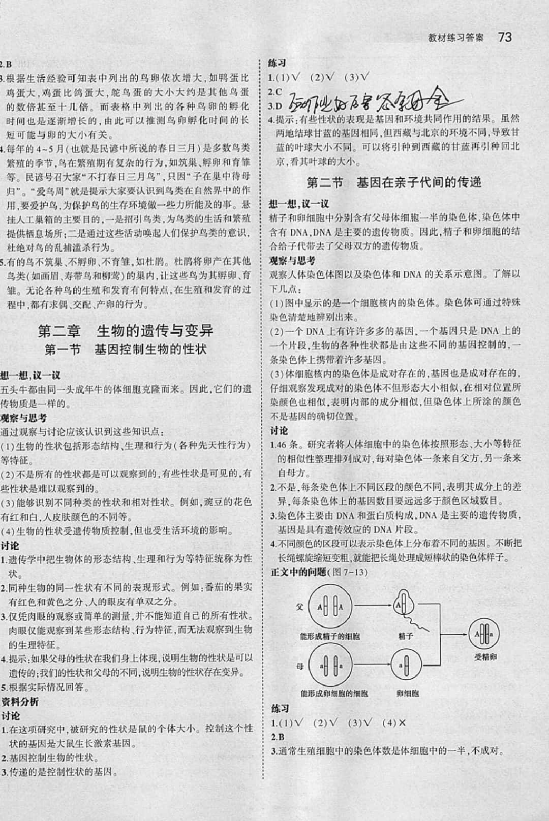 課本八年級(jí)生物學(xué)下冊(cè)人教版 參考答案第3頁(yè)