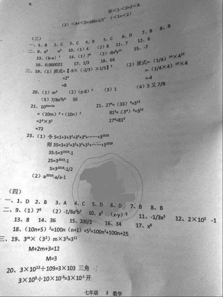 2016年蓝色时光暑假作业七年级合订本江苏凤凰科学技术出版社 参考答案第11页