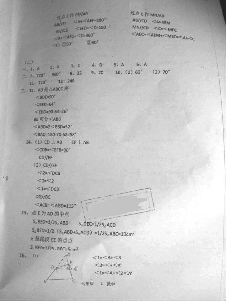 2016年蓝色时光暑假作业七年级合订本江苏凤凰科学技术出版社 参考答案第9页