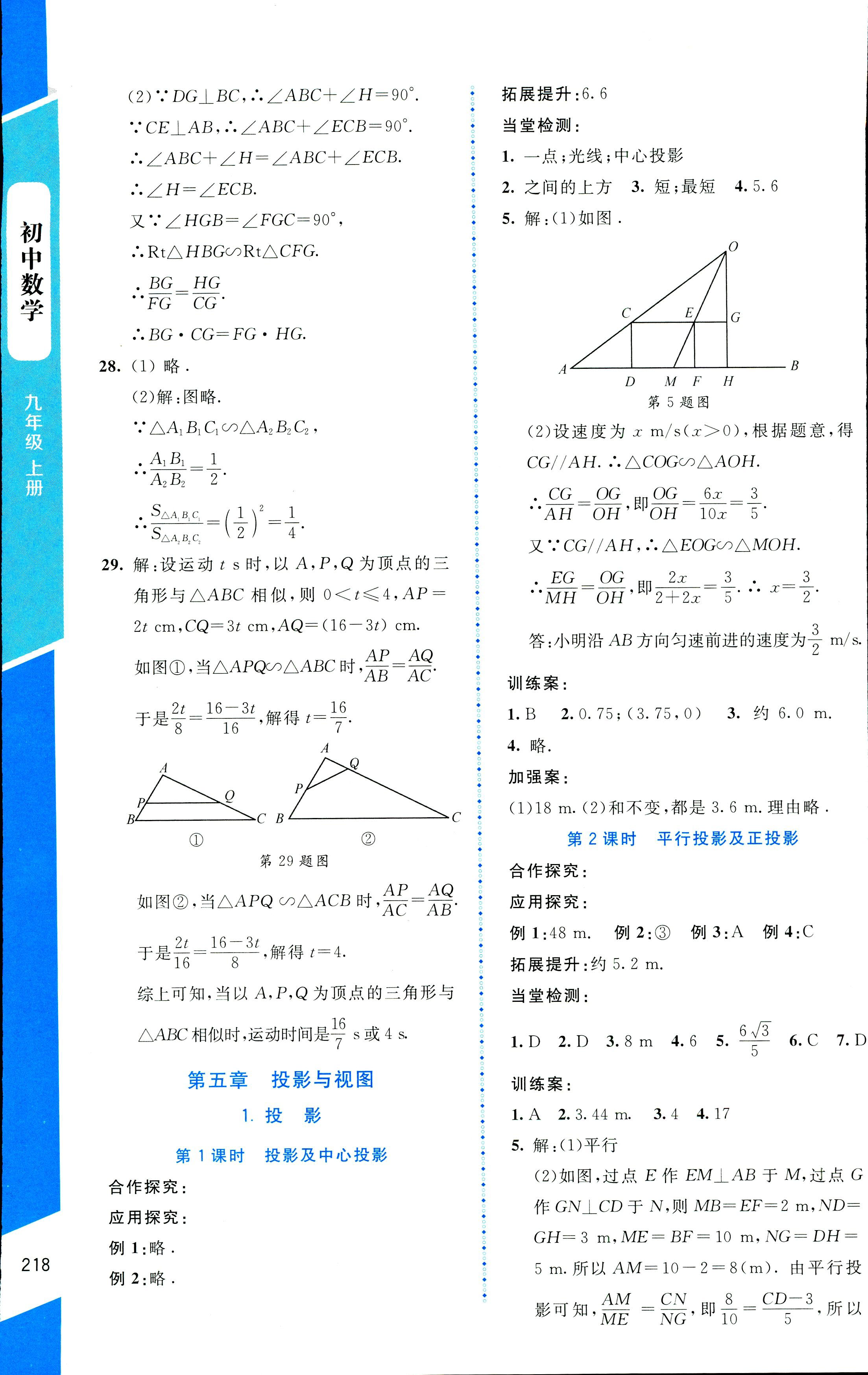 2018年課堂精練九年級(jí)數(shù)學(xué)上冊(cè)北師大版大慶專版 第34頁