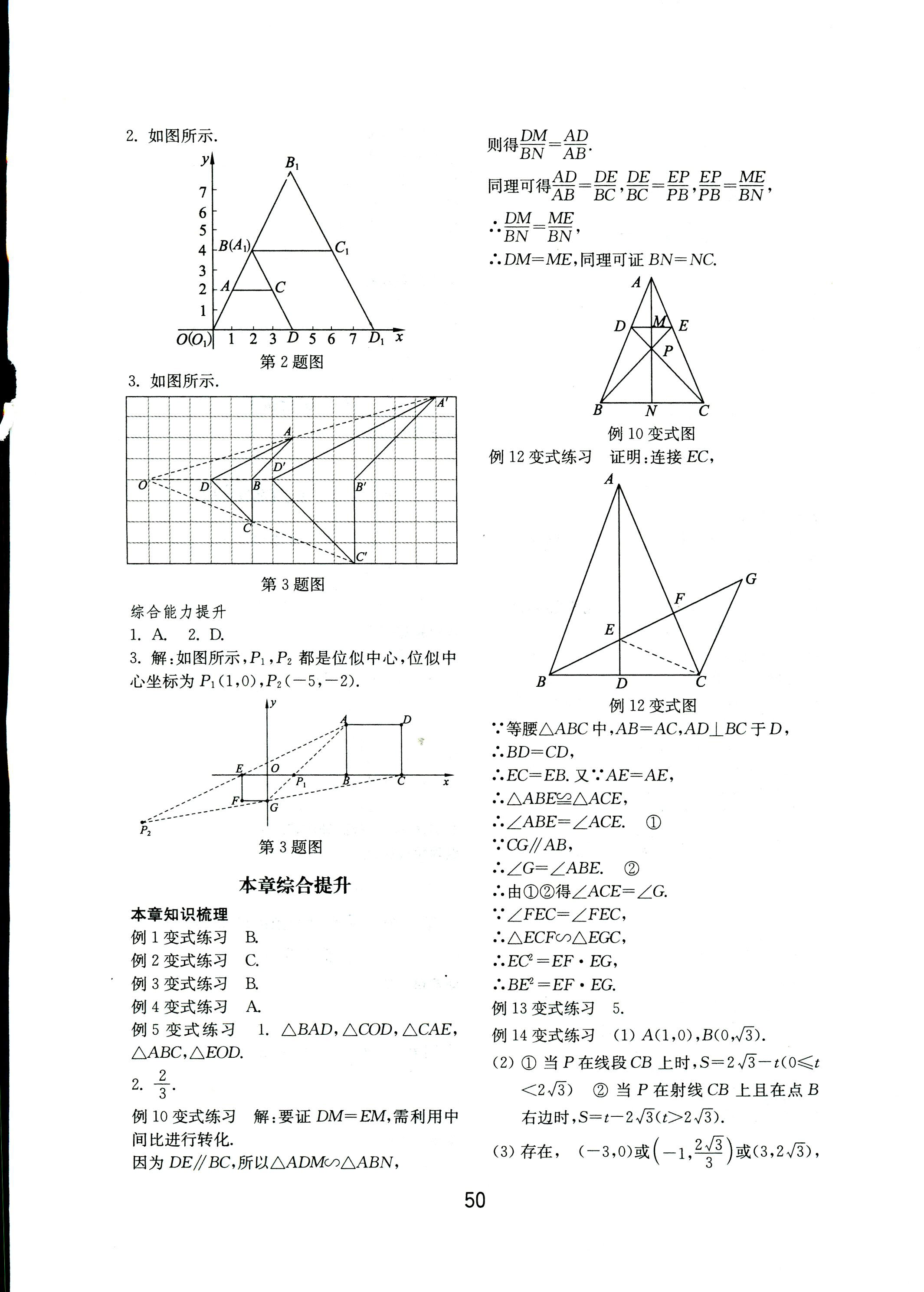 2018年初中基础训练九年级数学上册北师大版山东教育出版社 第10页