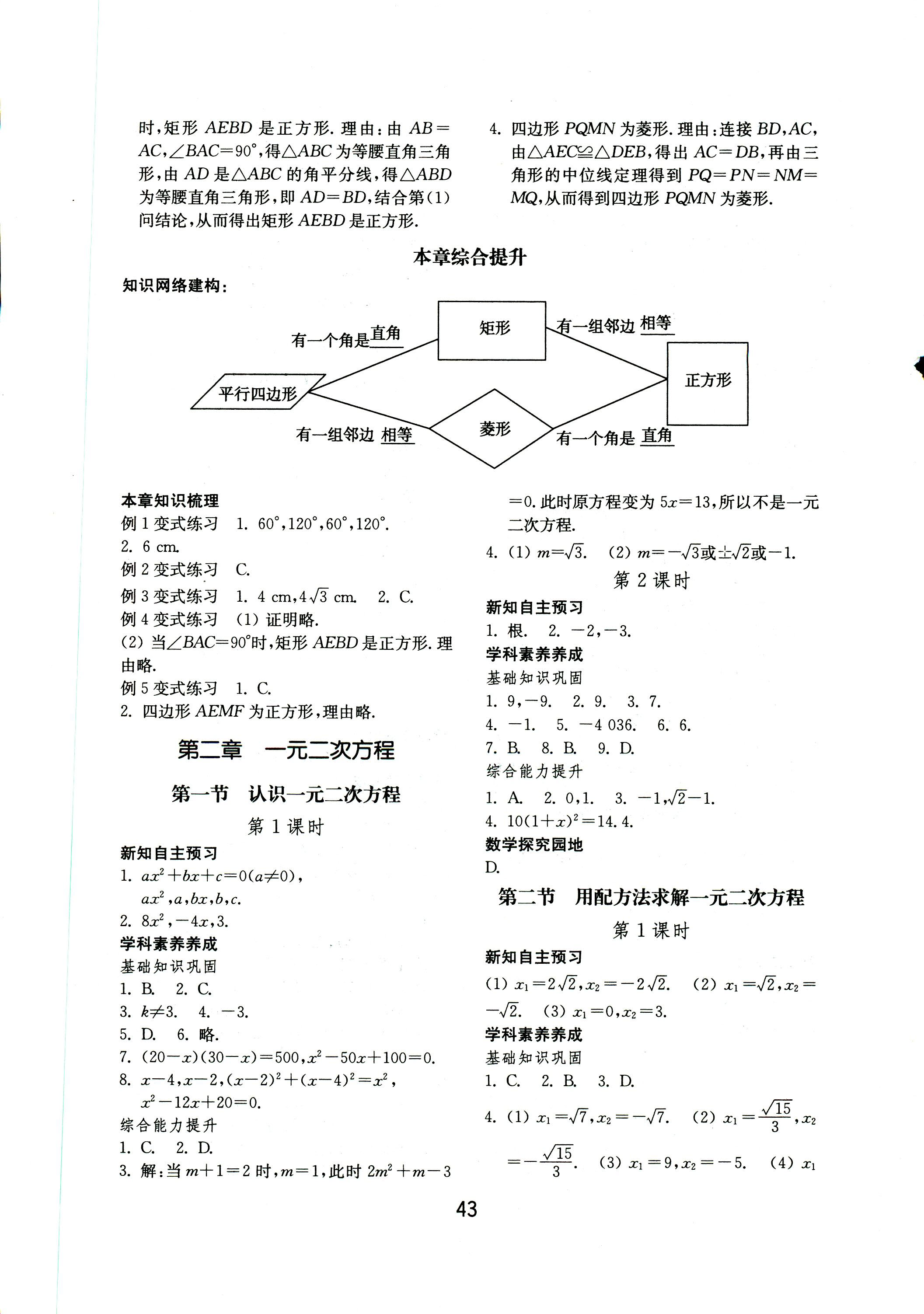 2018年初中基础训练九年级数学上册北师大版山东教育出版社 第3页