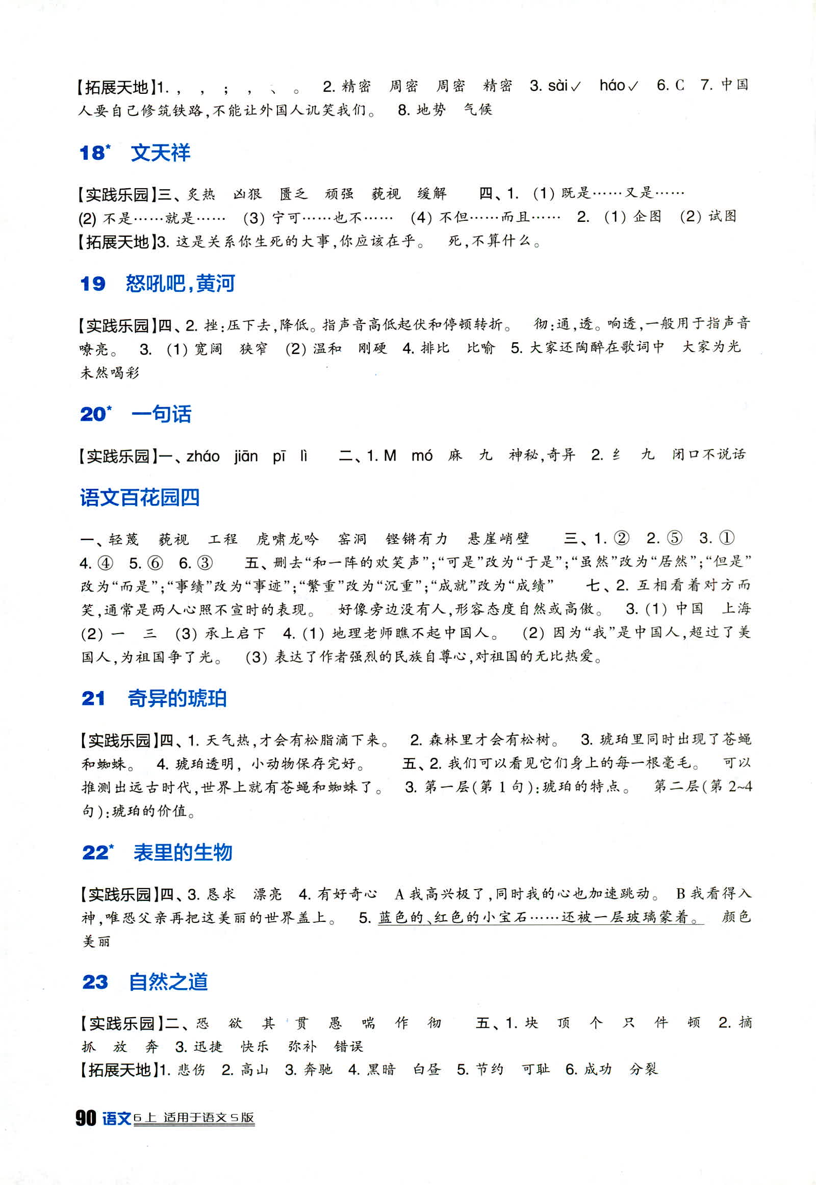 2018年新课标小学生学习实践园地六年级语文上册语文S版 第4页