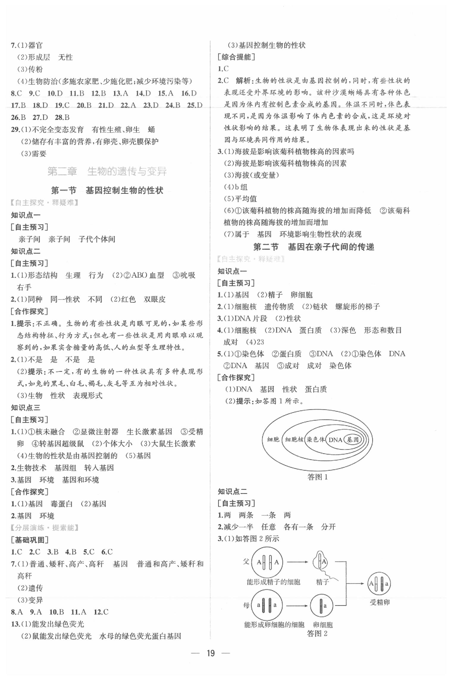 2020年同步學(xué)歷案課時練八年級生物學(xué)下冊人教版 第3頁