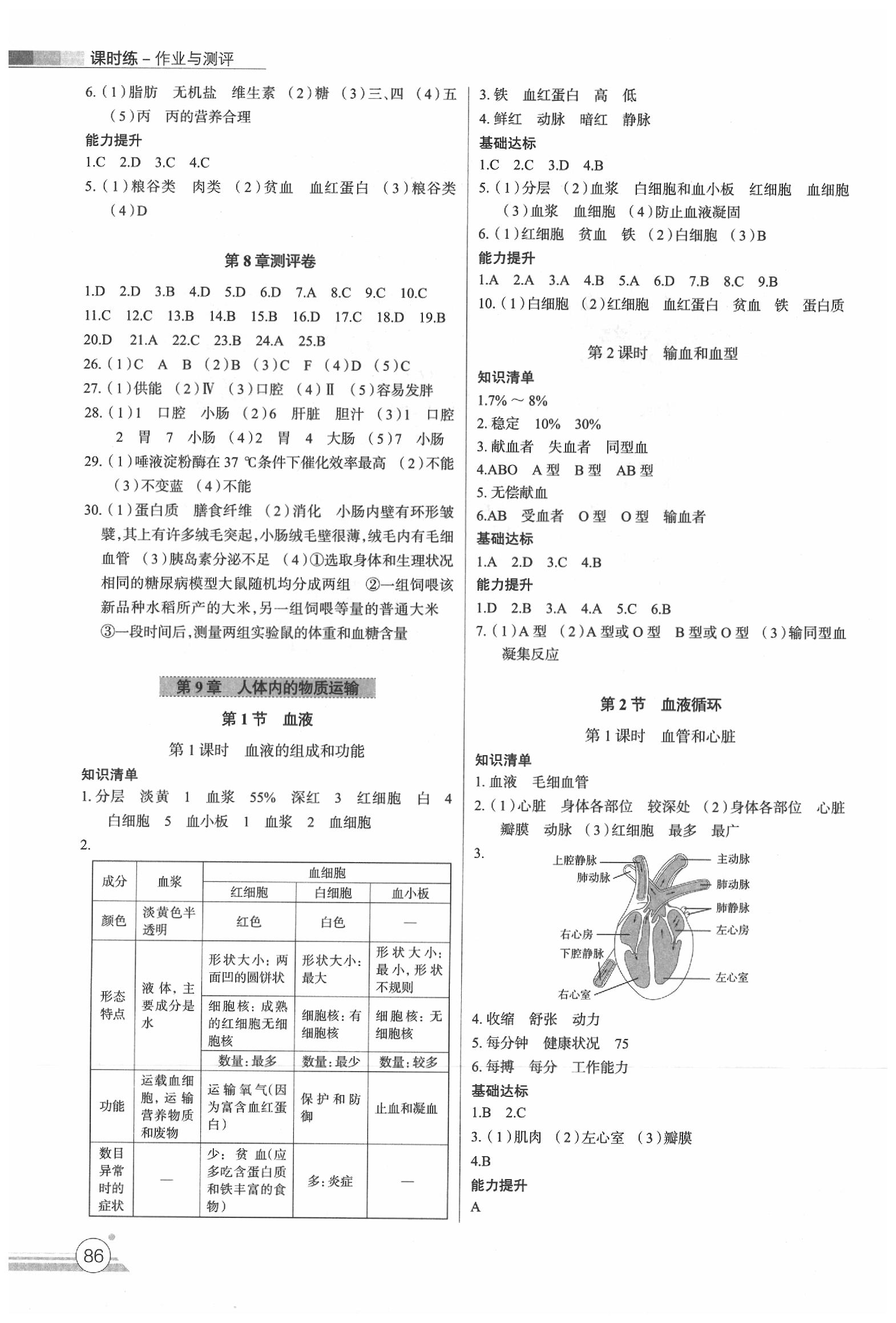 2020年課時練作業(yè)與測評七年級生物下冊北師大版 第2頁