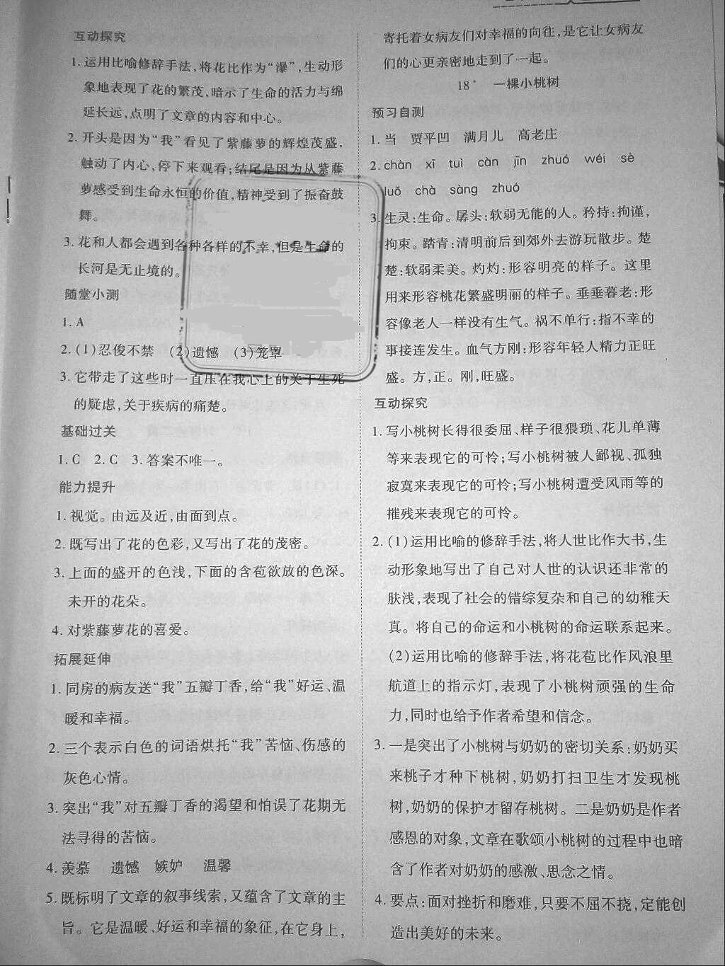 2018年資源與評(píng)價(jià)七年級(jí)語(yǔ)文下冊(cè)人教版 參考答案第18頁(yè)