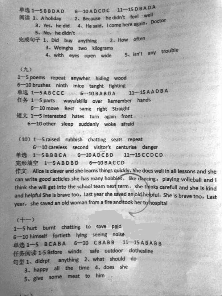 2018年蓝色时光暑假作业七年级合订本江苏凤凰科学技术出版社 第19页