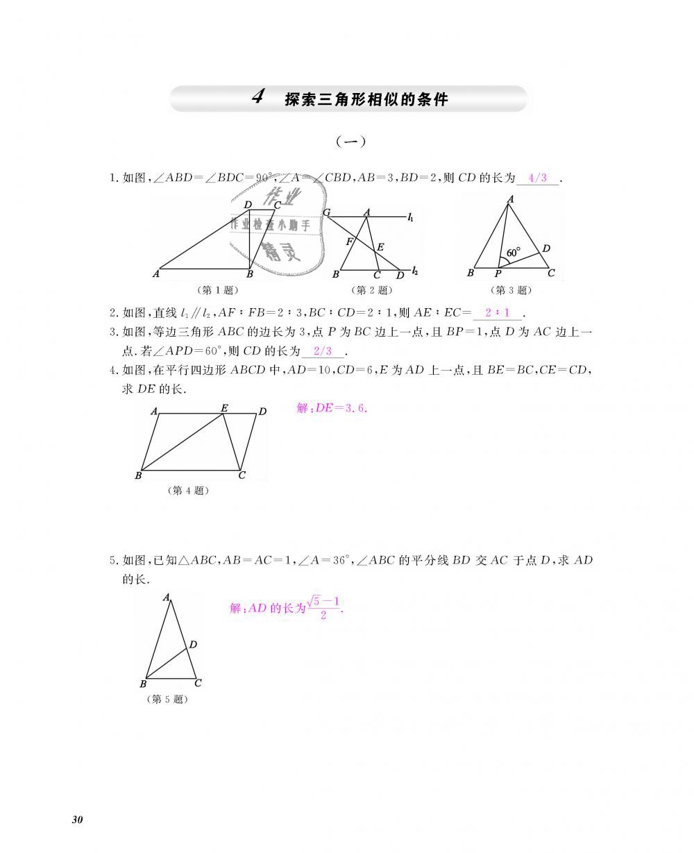 2018年數(shù)學(xué)作業(yè)本九年級全一冊北師大版 第31頁