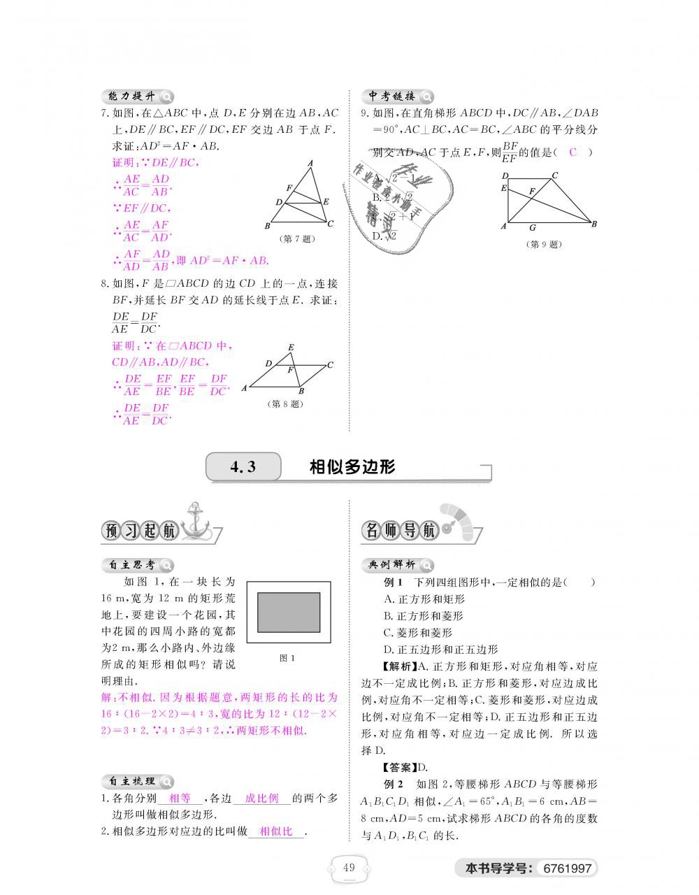 2018年領航新課標練習冊九年級數學全一冊北師大版 第49頁