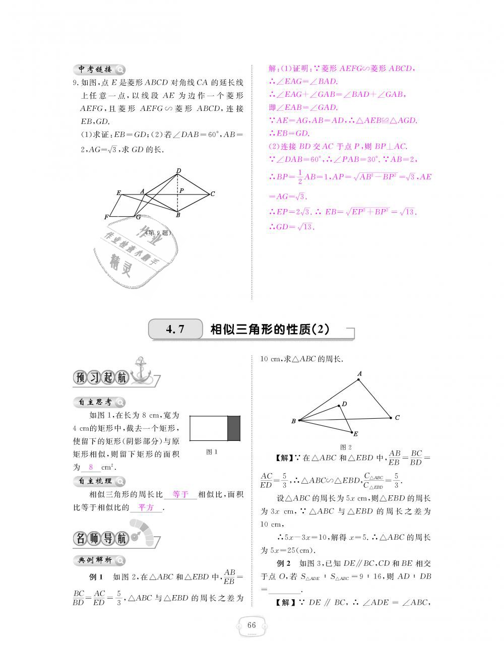 2018年領(lǐng)航新課標(biāo)練習(xí)冊(cè)九年級(jí)數(shù)學(xué)全一冊(cè)北師大版 第66頁