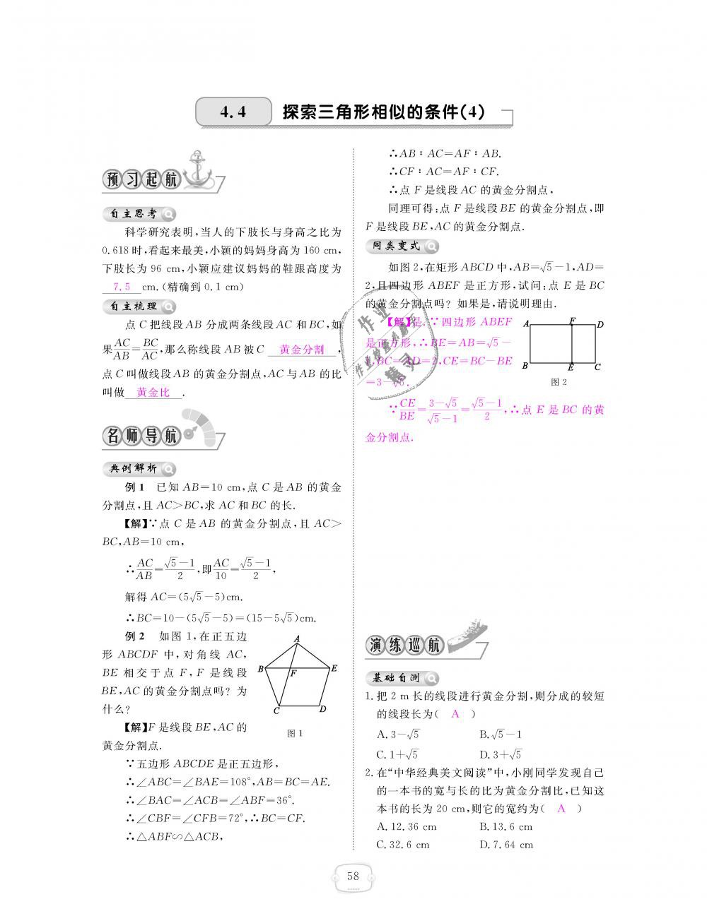 2018年領(lǐng)航新課標(biāo)練習(xí)冊(cè)九年級(jí)數(shù)學(xué)全一冊(cè)北師大版 第58頁(yè)