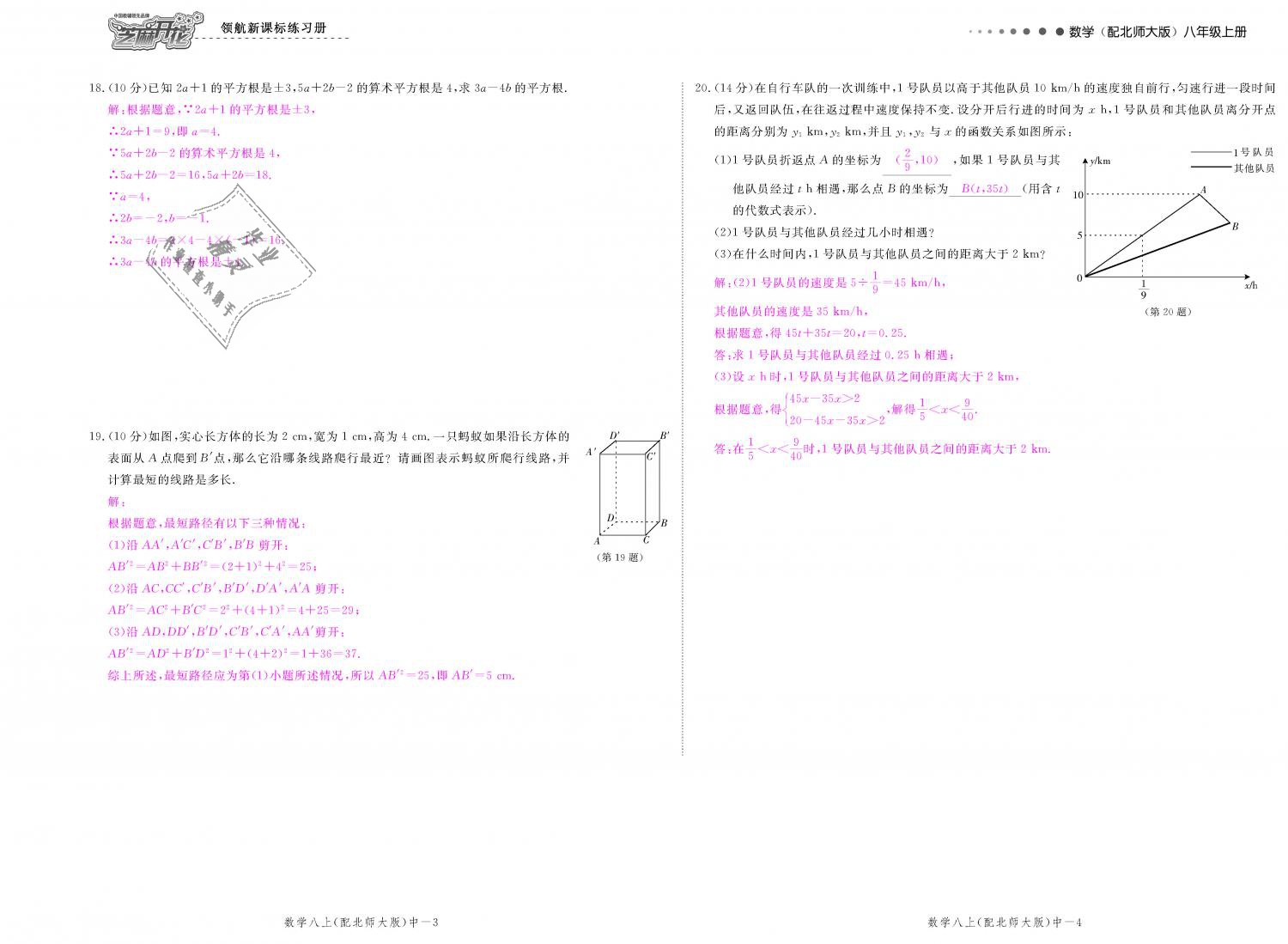 2018年領(lǐng)航新課標(biāo)練習(xí)冊(cè)八年級(jí)數(shù)學(xué)上冊(cè)北師大版 第120頁(yè)