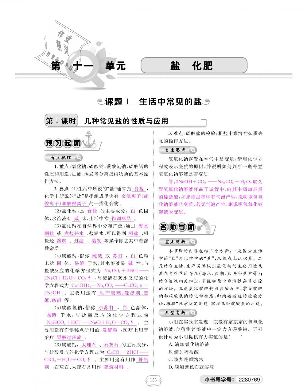 2018年領航新課標練習冊九年級化學全一冊人教版 第123頁