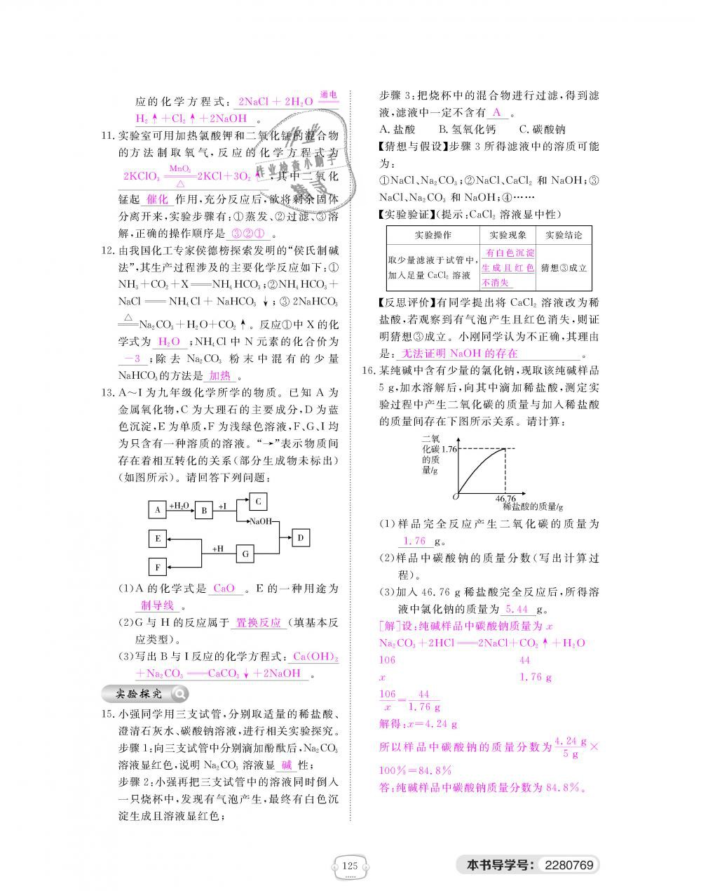 2018年領(lǐng)航新課標(biāo)練習(xí)冊(cè)九年級(jí)化學(xué)全一冊(cè)人教版 第125頁(yè)