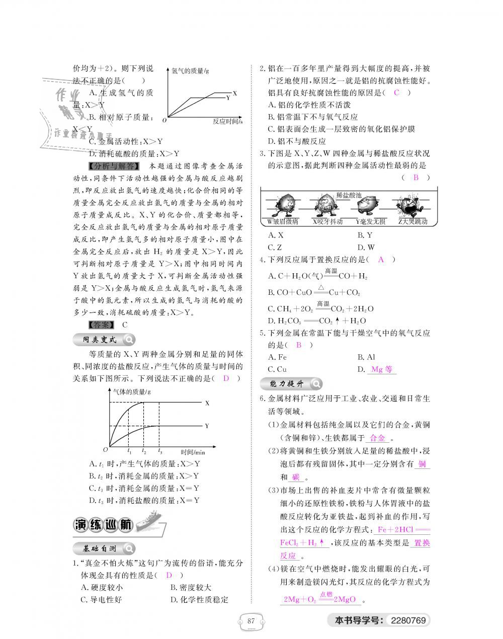 2018年領(lǐng)航新課標練習冊九年級化學全一冊人教版 第87頁