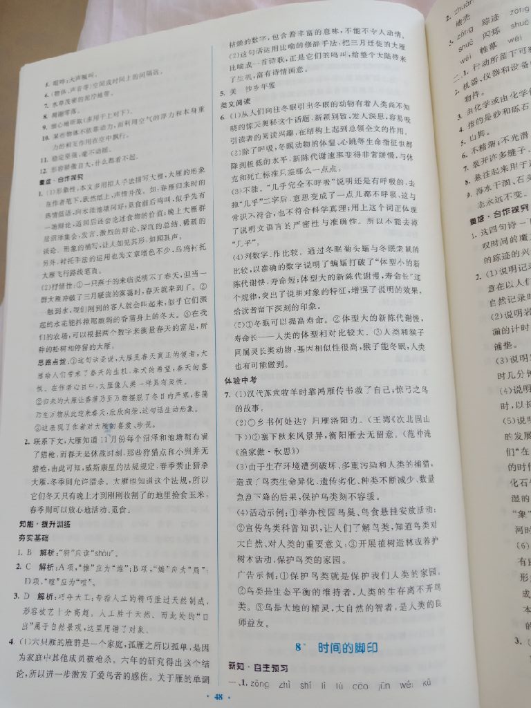 2019年初中同步學(xué)習(xí)目標(biāo)與檢測八年級語文下冊人教版 參考答案第8頁