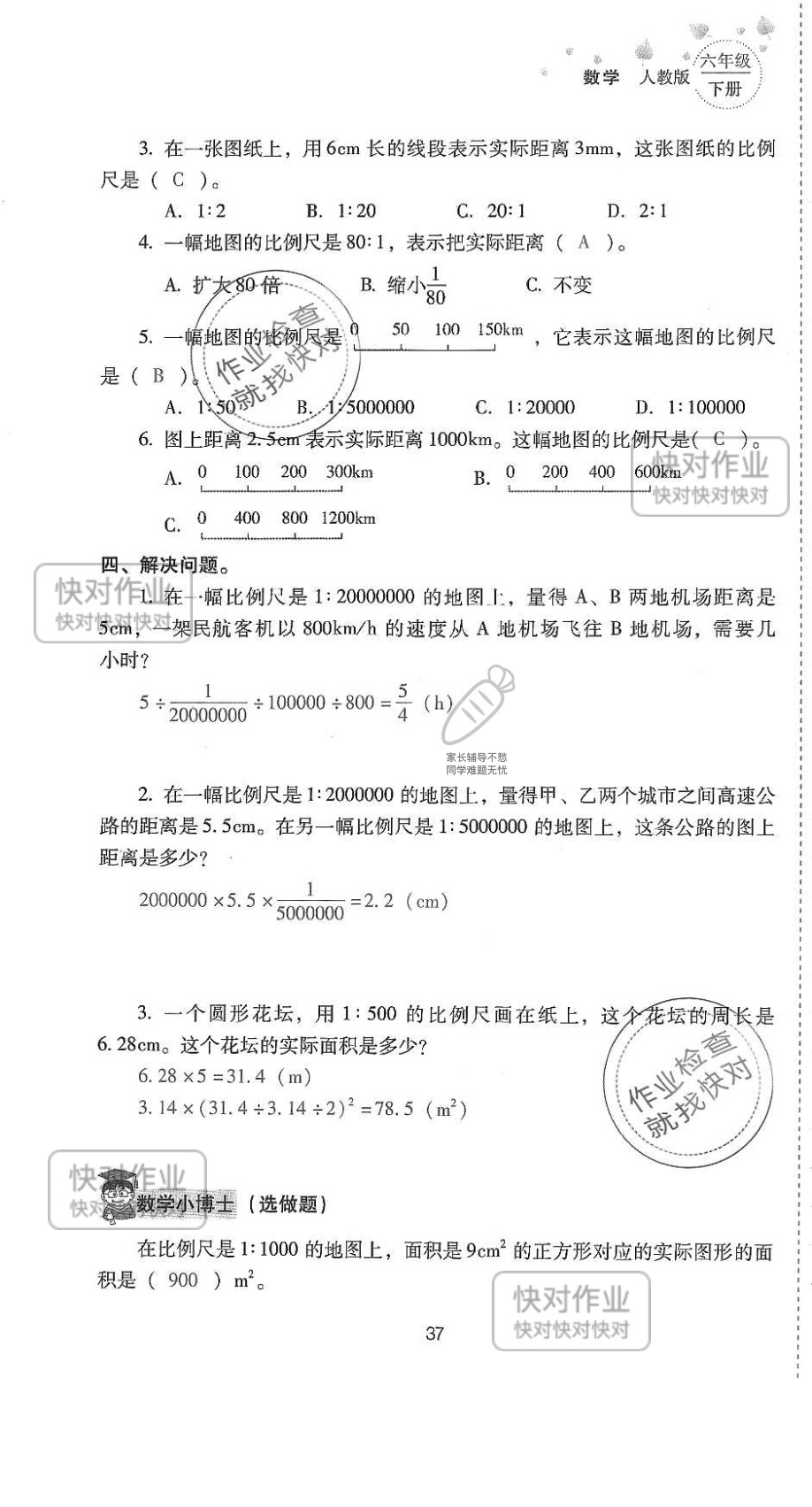 2019云南省同步指导训练与检测六年级数学下册人教版 参考答案第36页