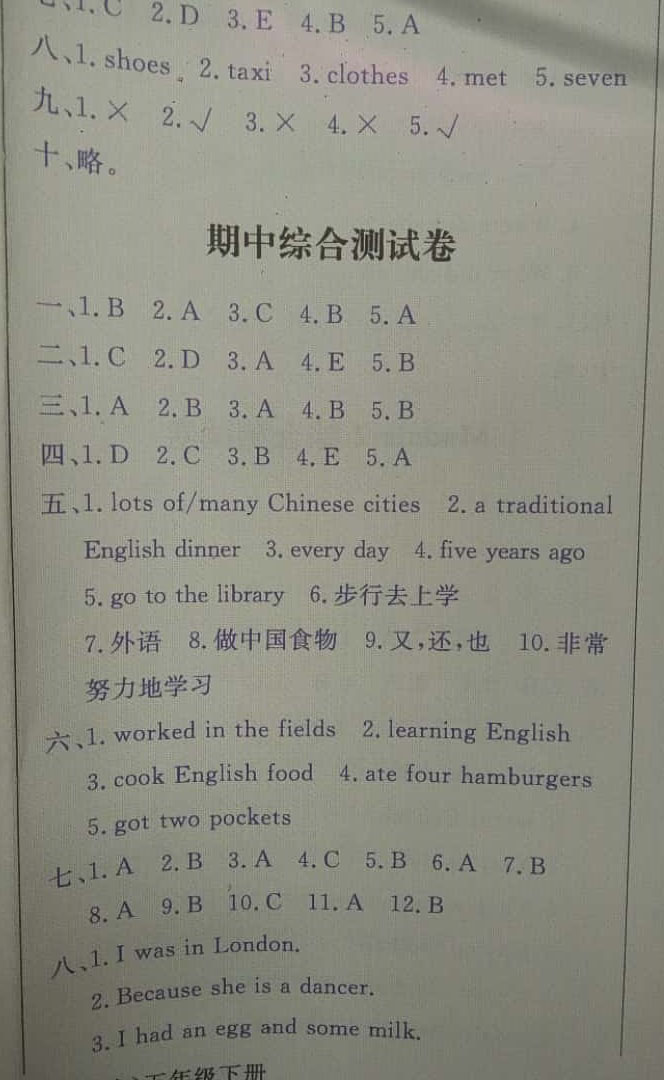 2019陽(yáng)光課堂五年級(jí)英語(yǔ)下冊(cè)外研版 參考答案第29頁(yè)