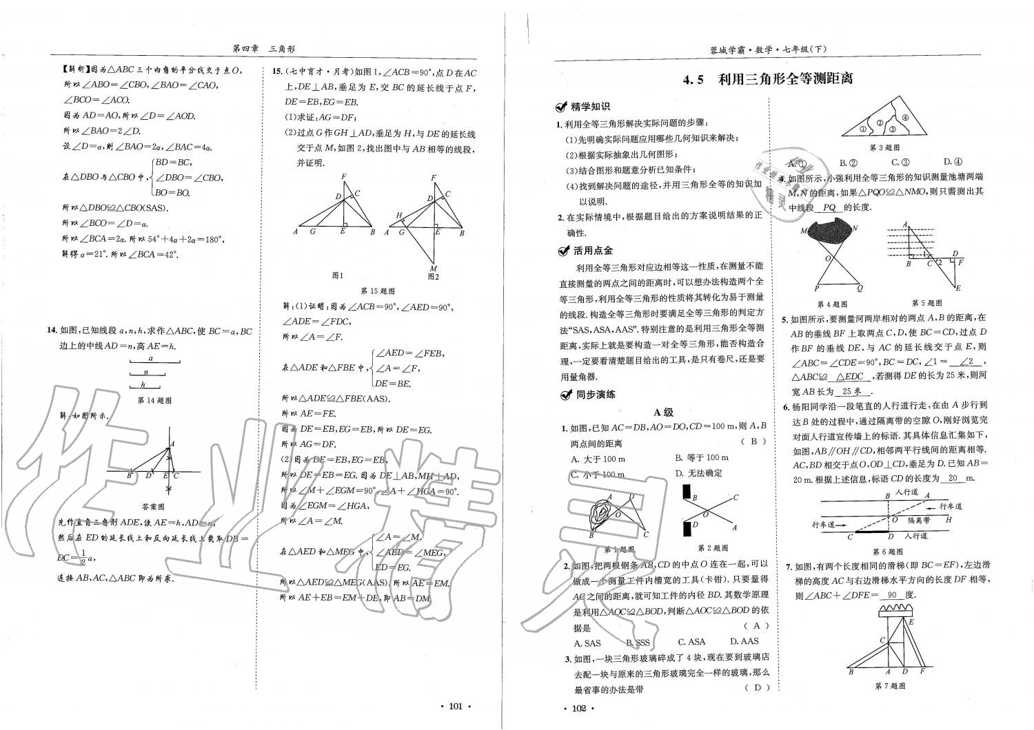 2019蓉城學(xué)霸七年級數(shù)學(xué)下冊北師大版 參考答案第51頁