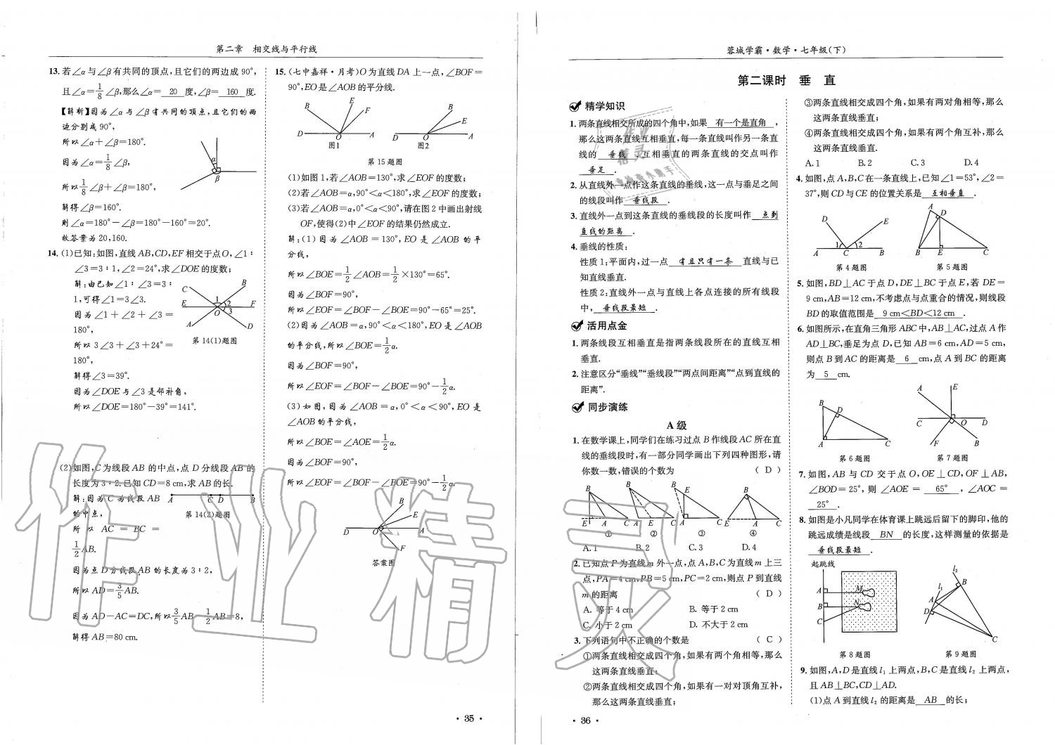 2019蓉城學霸七年級數(shù)學下冊北師大版 參考答案第18頁