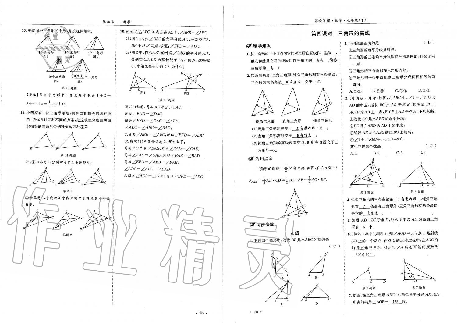 2019蓉城學(xué)霸七年級數(shù)學(xué)下冊北師大版 參考答案第38頁