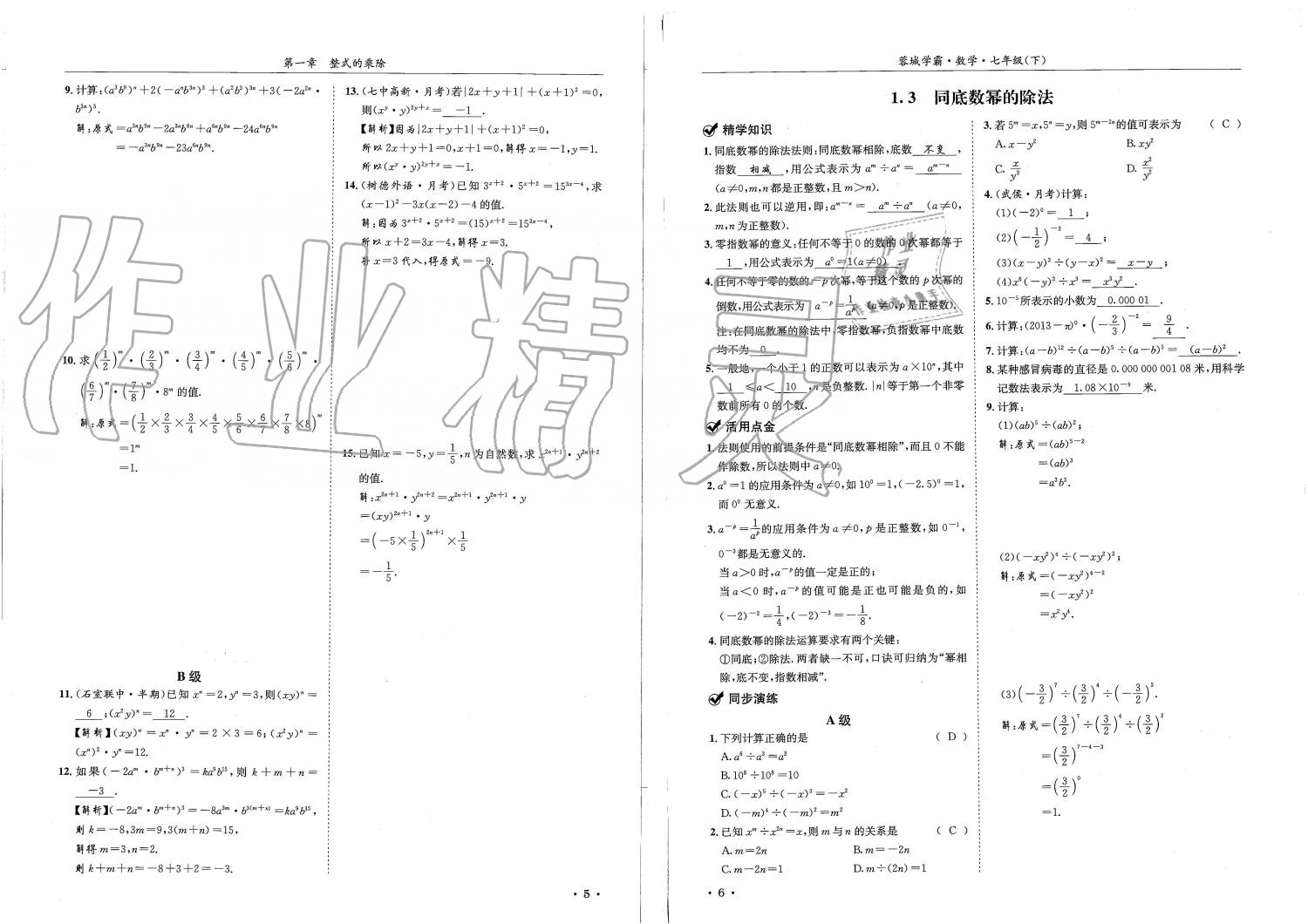 2019蓉城學(xué)霸七年級(jí)數(shù)學(xué)下冊(cè)北師大版 參考答案第3頁