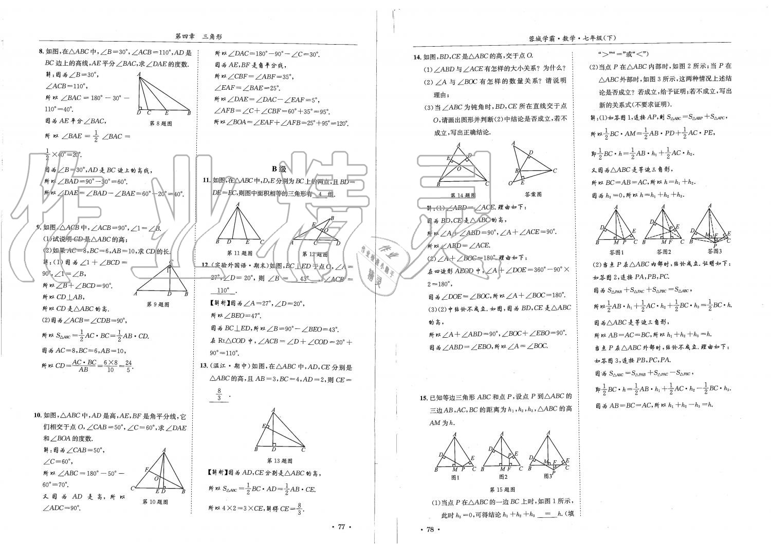 2019蓉城學霸七年級數(shù)學下冊北師大版 參考答案第39頁