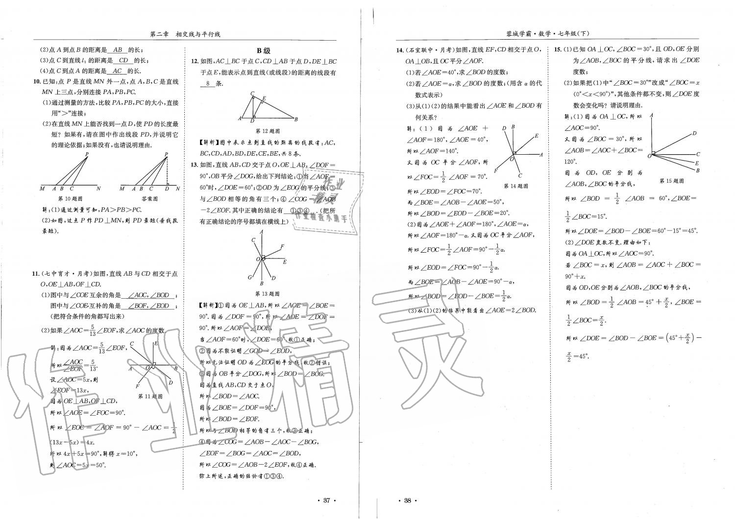 2019蓉城学霸七年级数学下册北师大版 参考答案第19页