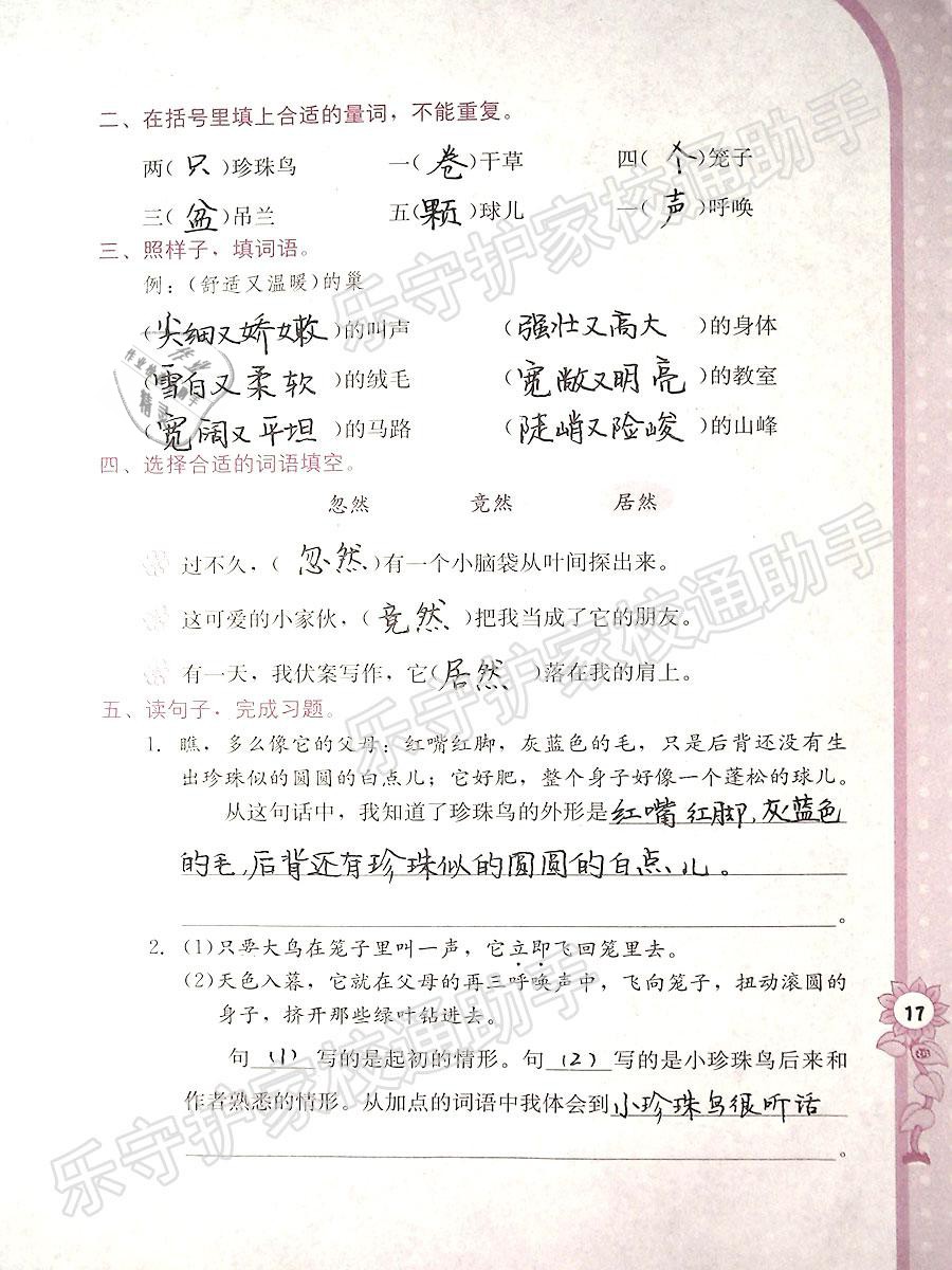 2019年學(xué)習(xí)與鞏固五年級語文下冊語文S版 參考答案第17頁