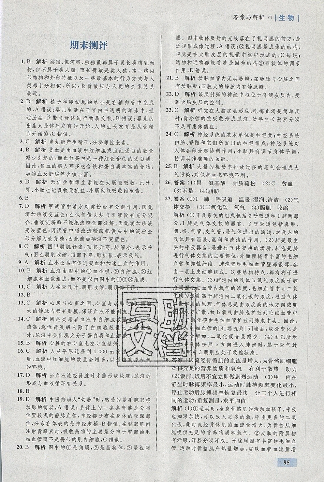 2019年初中同步學(xué)考優(yōu)化設(shè)計七年級生物下冊 參考答案第21頁